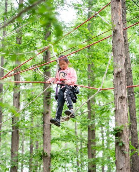 历师动漫,自然美景探险之旅,探寻内心平静与喜悦