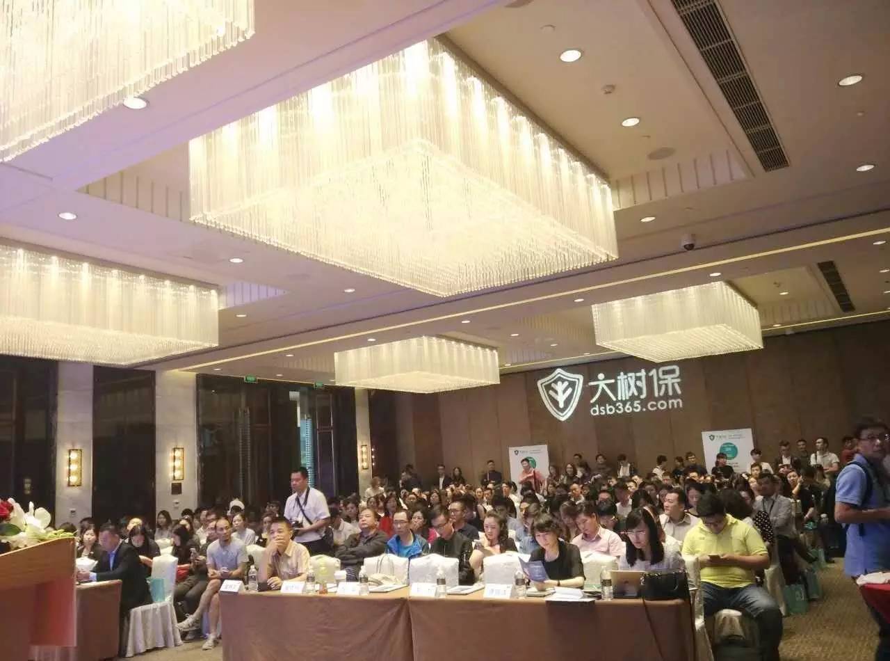 蔡英文最新演讲任务指南解析