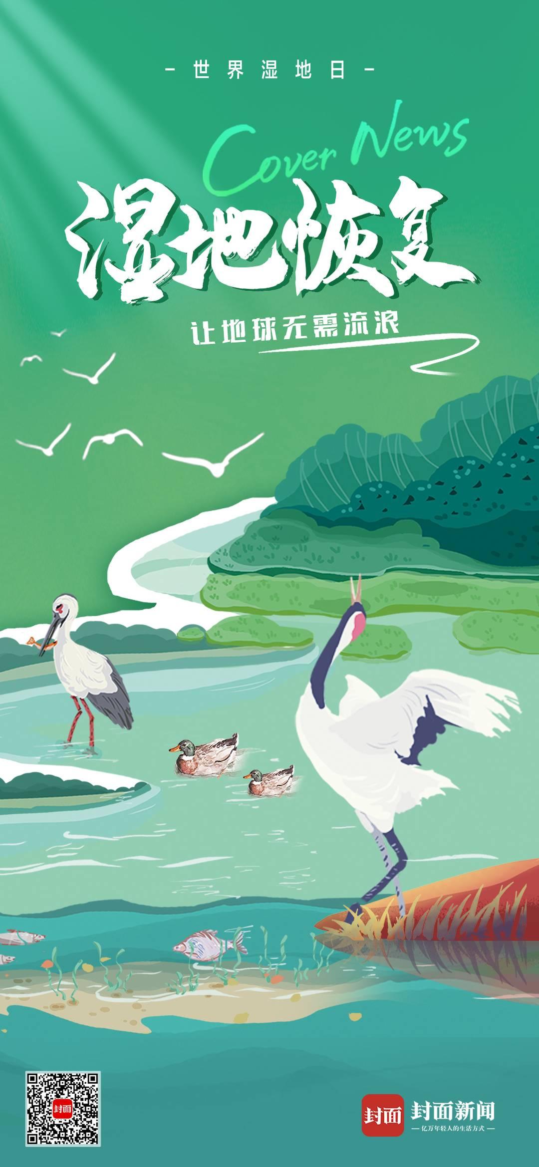 全面解读,西湖一日游费用构成及旅游费用详解