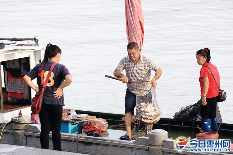柴油价格更新，宁静之旅中的自然美景邂逅