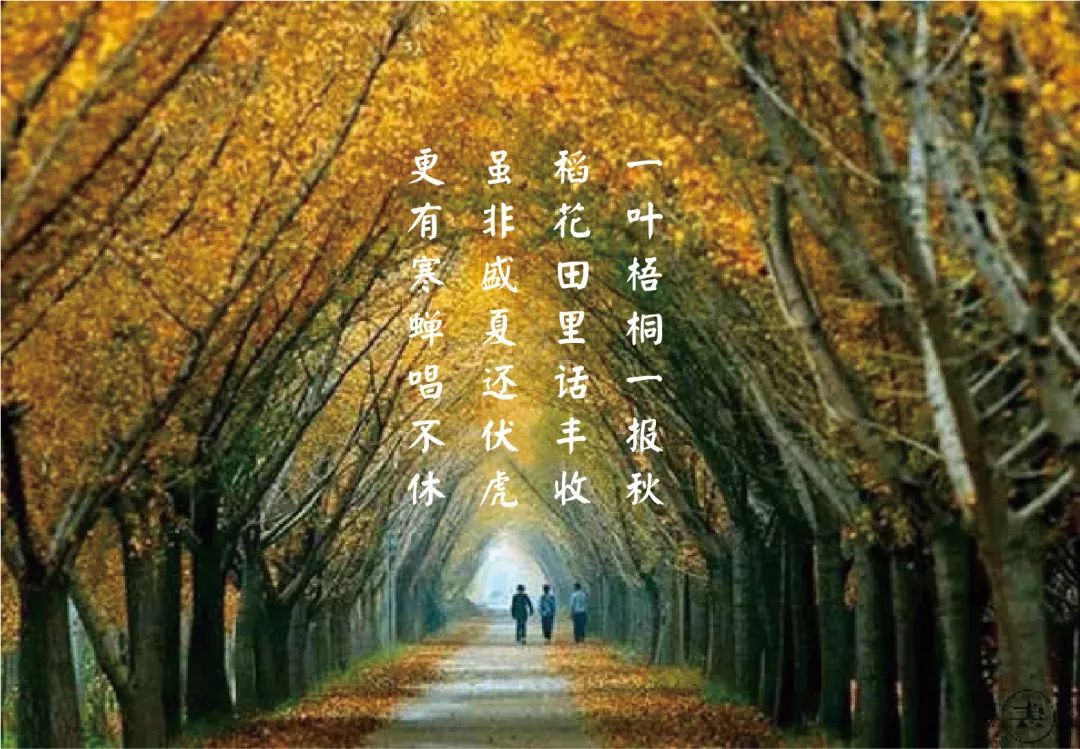 一站式城市服务平台 第98页