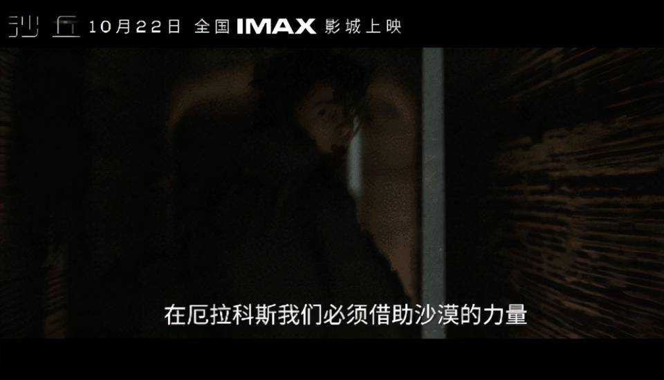 狼狈电影,友情与陪伴的温馨之旅