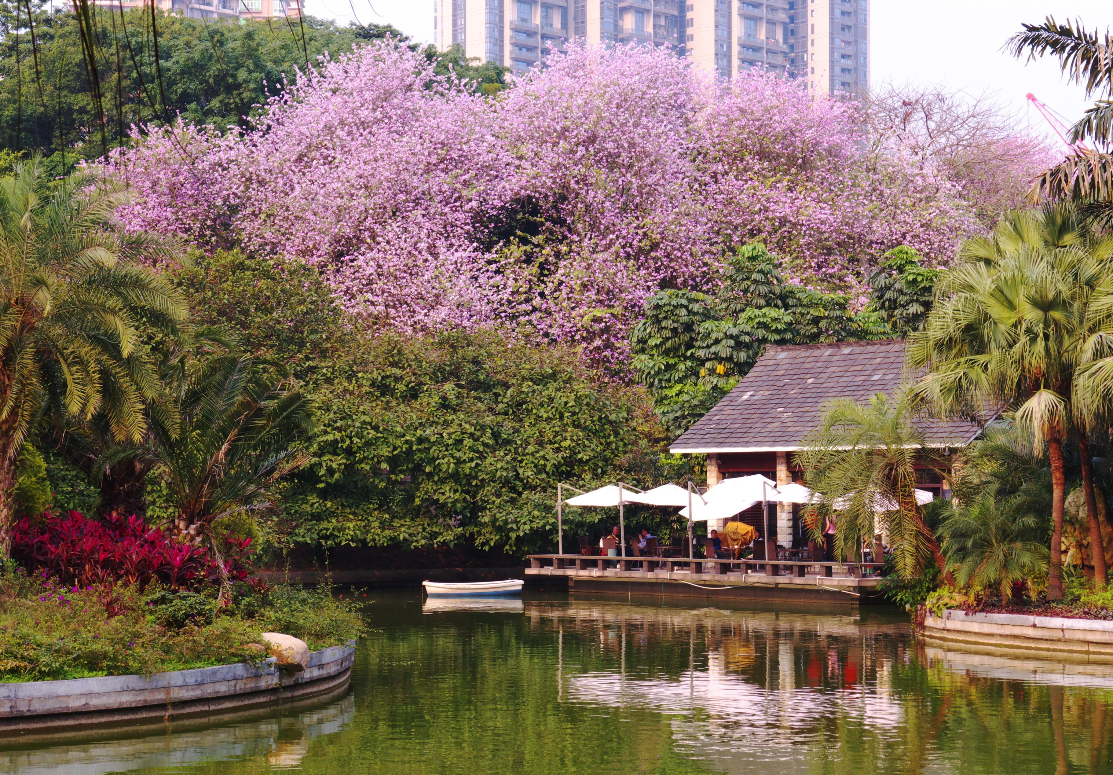 广州最新地图,多维视角展现城市发展碰撞观点