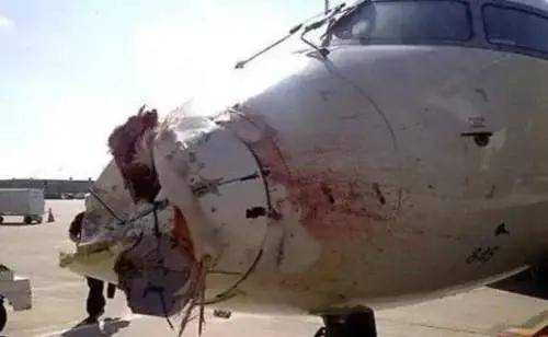 飞机失事最新消息与巷弄深处的神秘小店探秘揭秘