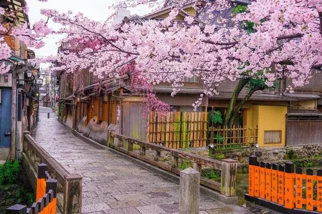 最新IE浏览器,自然美景的治愈之旅探索开启