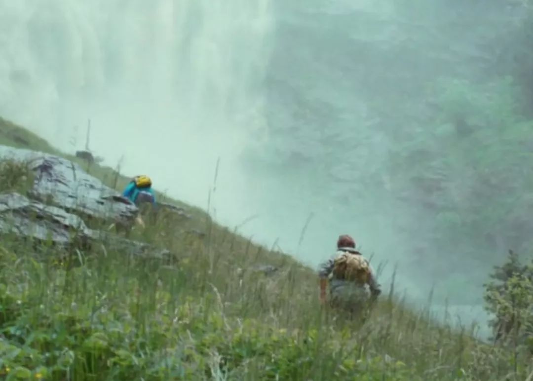 最新电影影评与踏遍自然美景之旅的双重探索