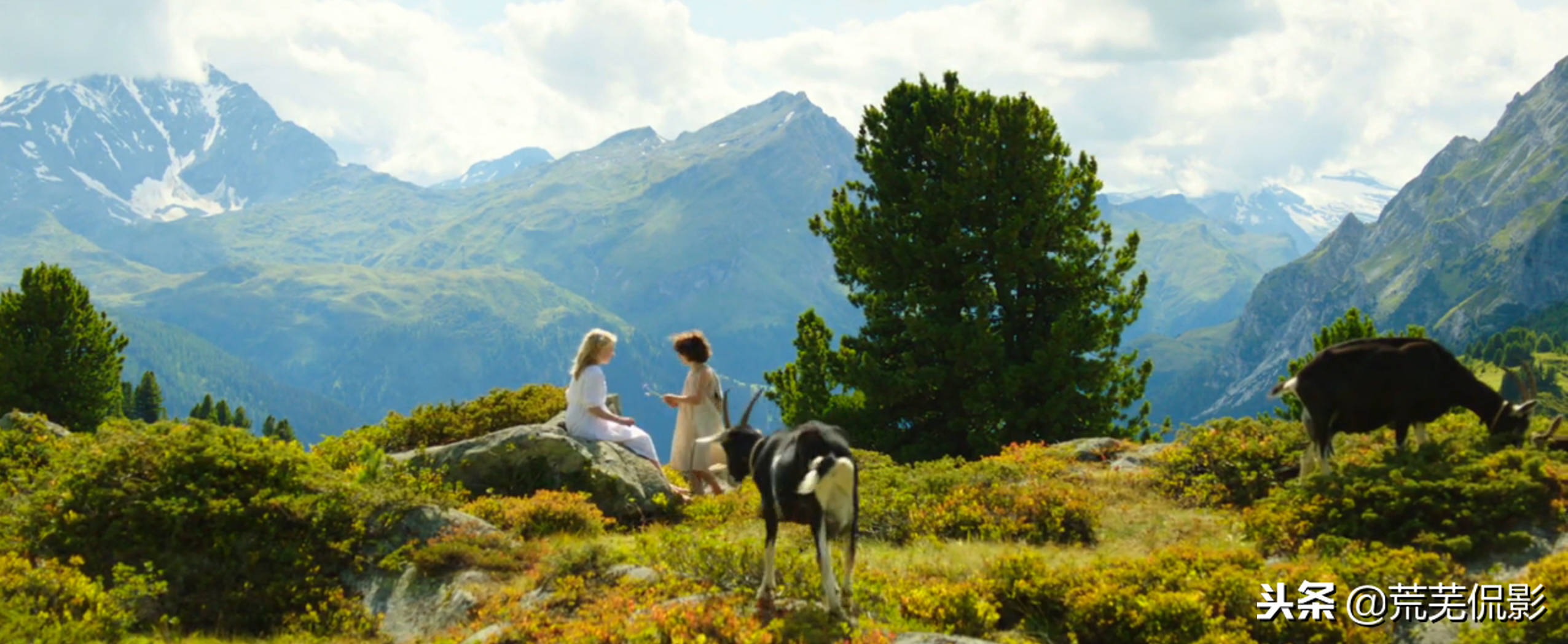 最新电影影评与踏遍自然美景之旅的双重探索