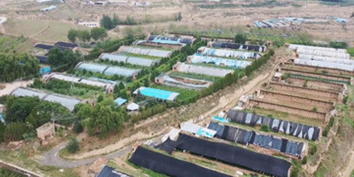 兰州市最新疫情情况更新