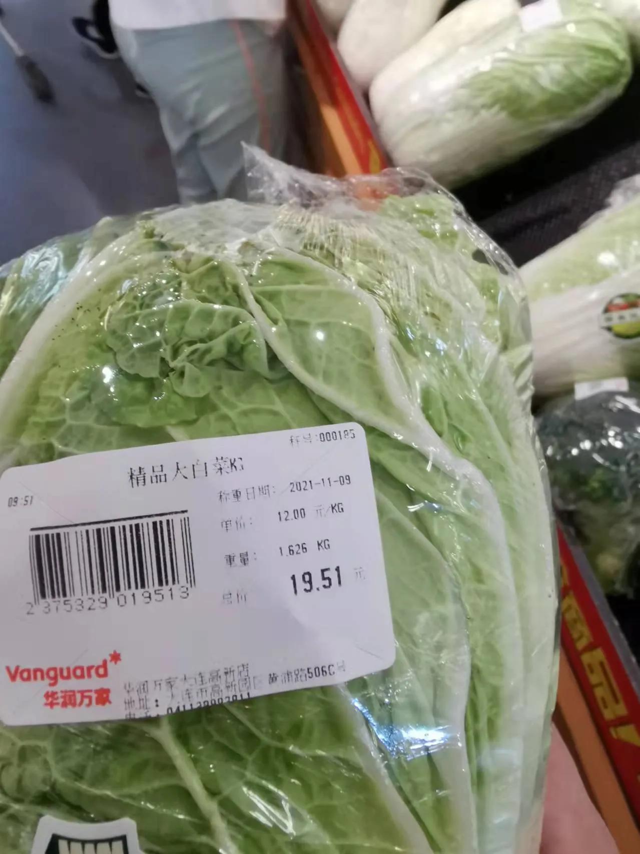 大连最新疫情动态与日常趣事分享