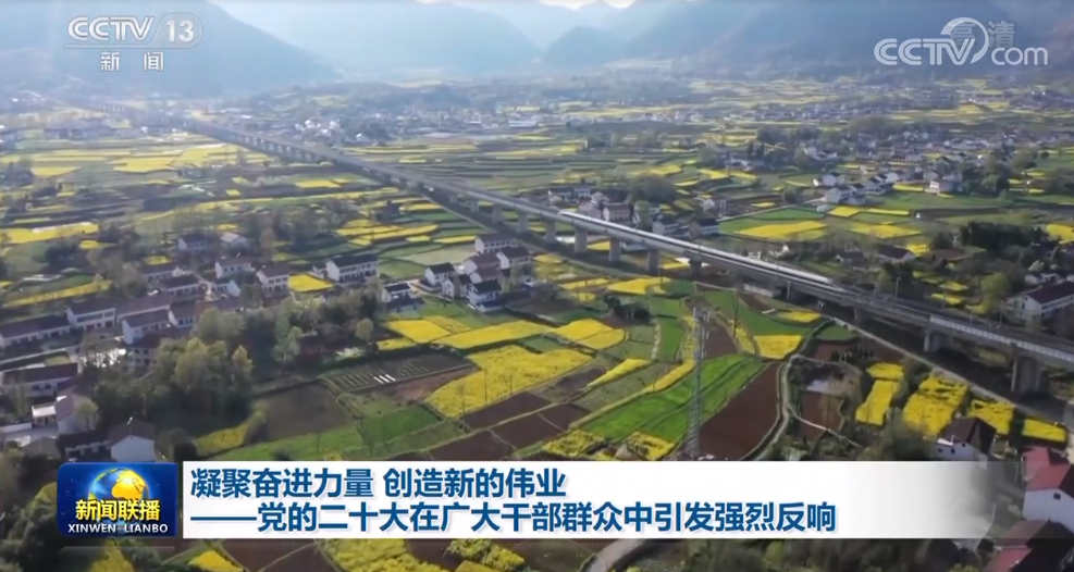 东坝新动态,变化中的力量,学习铸就自信与成就