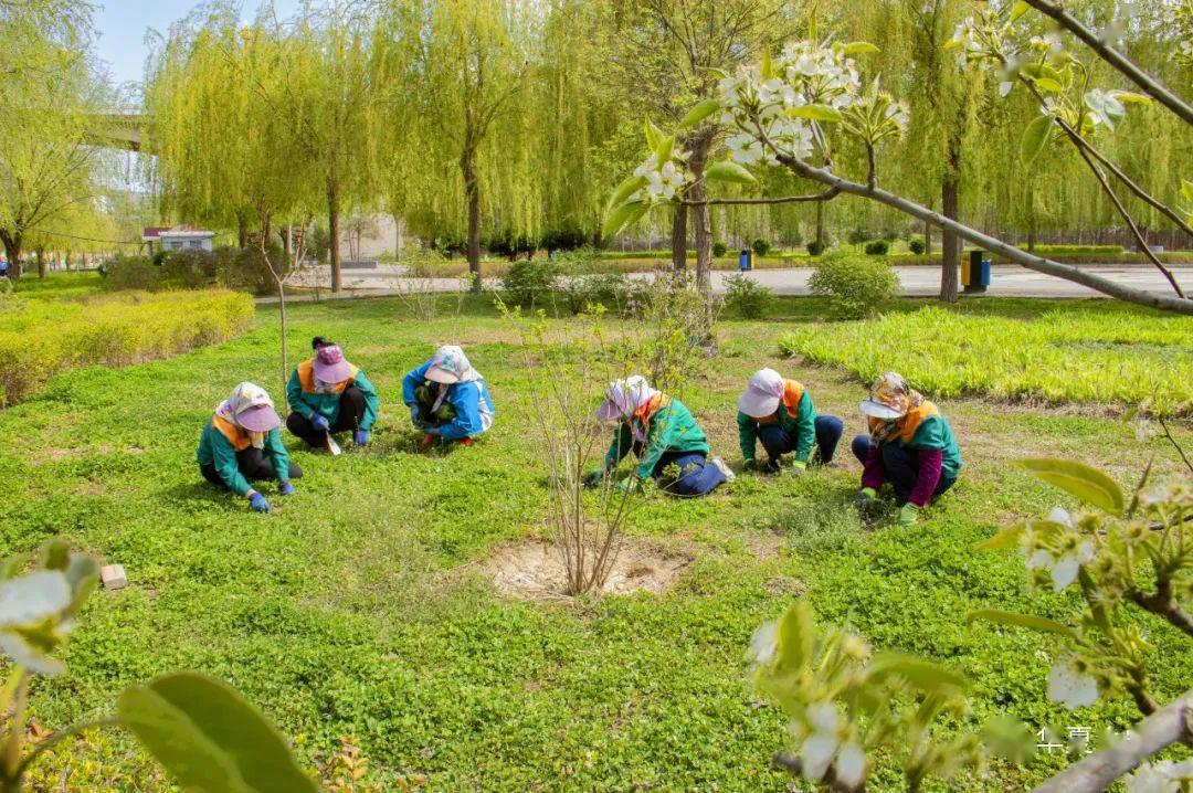 会宁县城蓬勃发展新面貌的最新消息