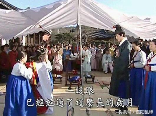 最新动画片,温馨小日常与友情之光的璀璨闪耀