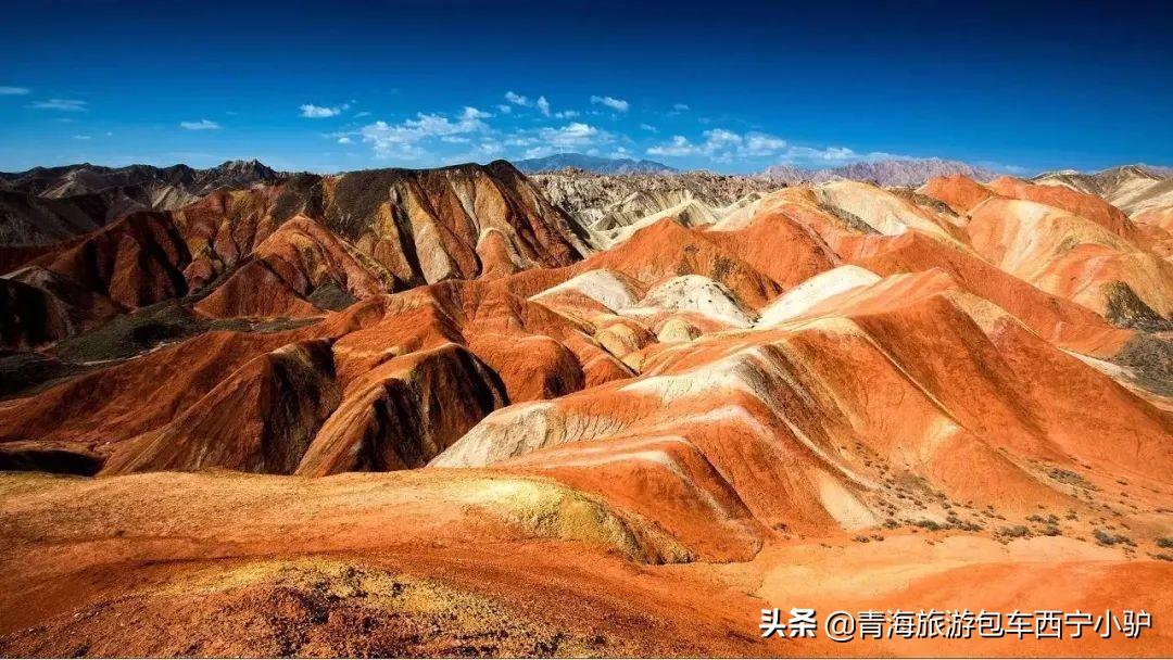 中山最新招聘信息及热门职位全面解析!