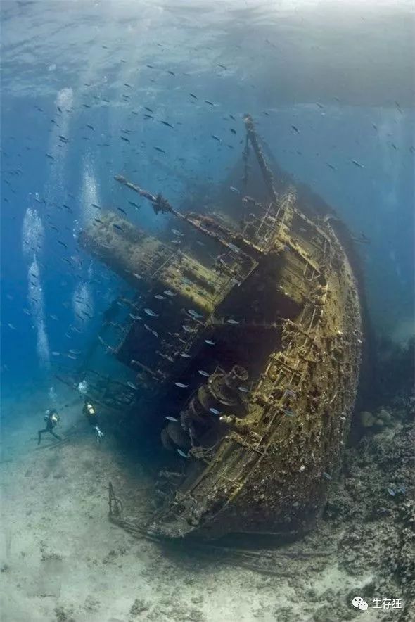 沉船最新消息揭秘,一段温馨的探秘之旅启程了
