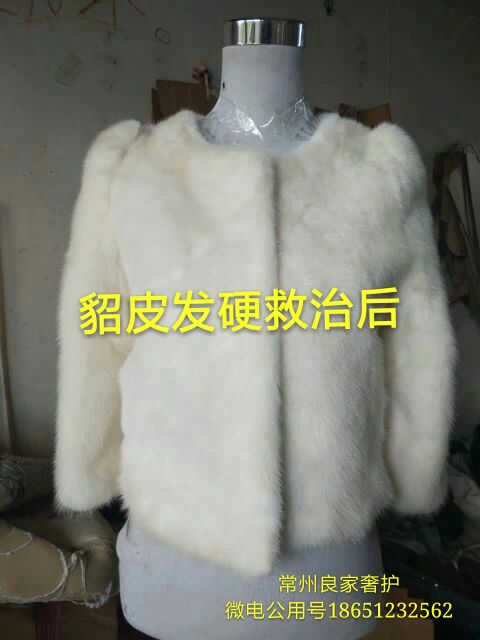 貂皮最新价格,时尚珍稀皮革之选