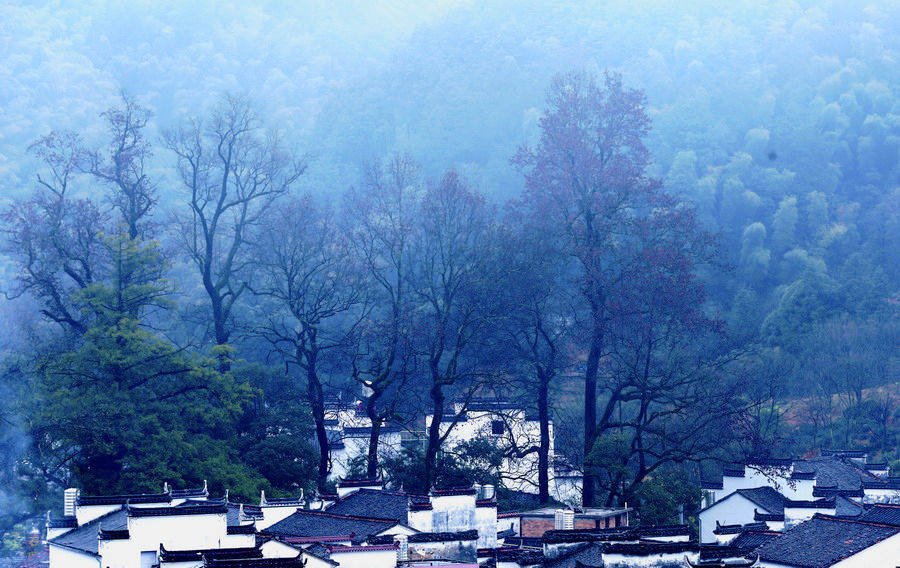 最新秋霞,自然美景的探索之旅