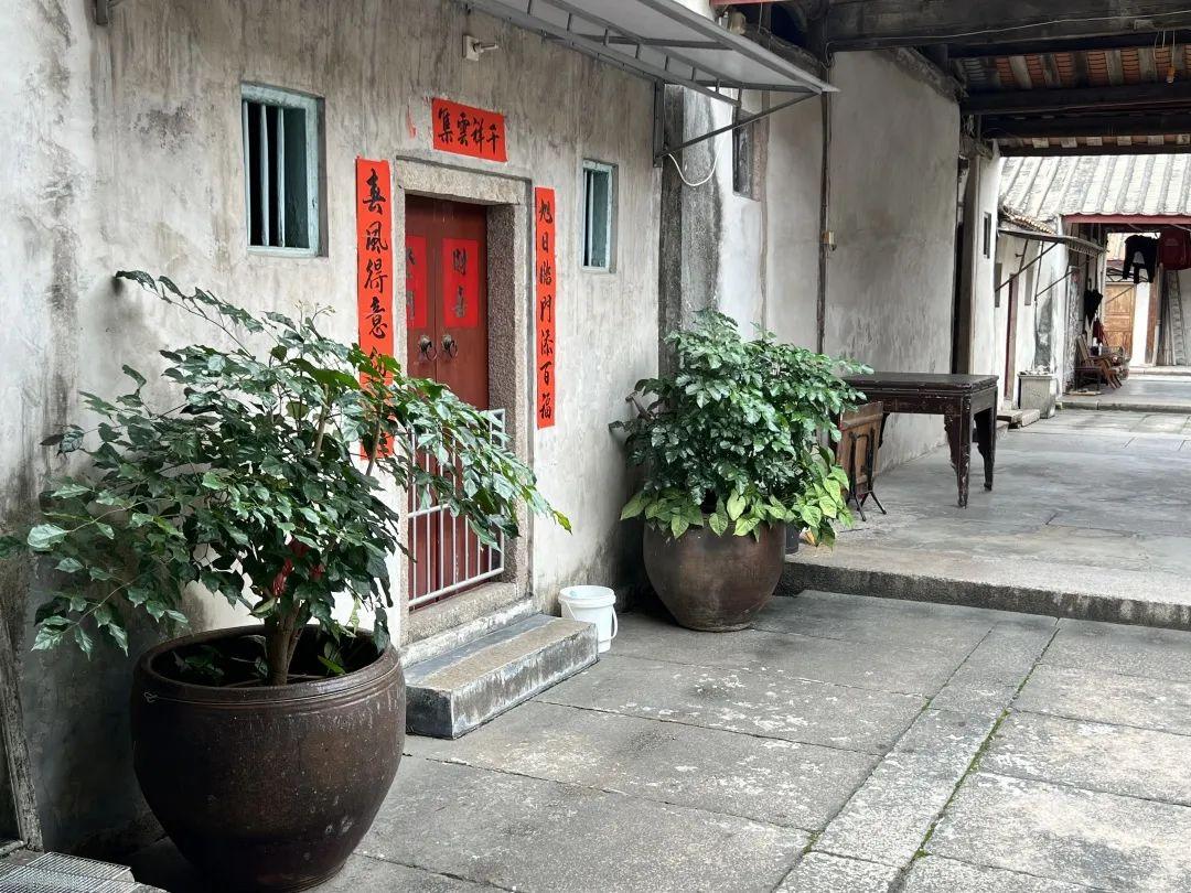 魔兽最新版本,日常奇遇与温馨之旅的探索