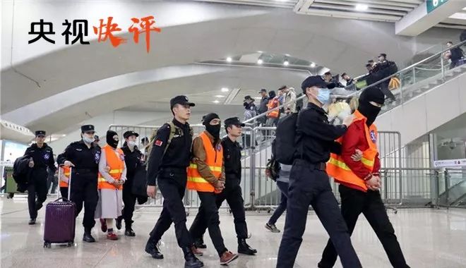 中央最新政策,时代新篇章的引领者