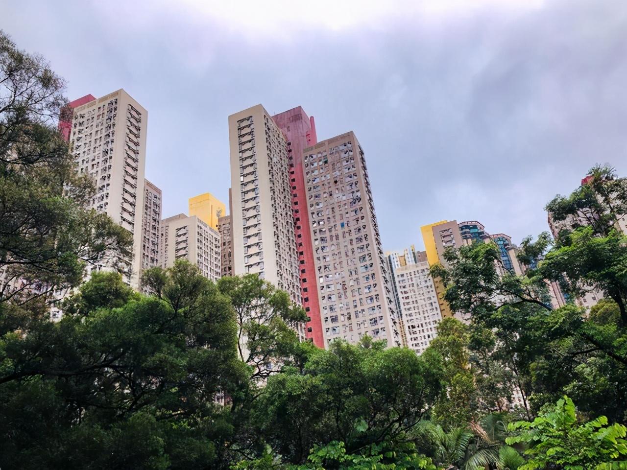 香港疫情最新动态与小巷中的独特发现