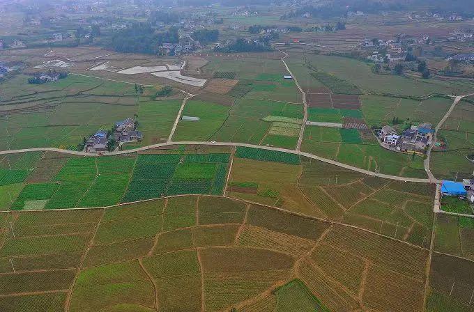 大豆最新行情,绿意盎然之旅探寻内心与自然和谐共鸣的交响曲