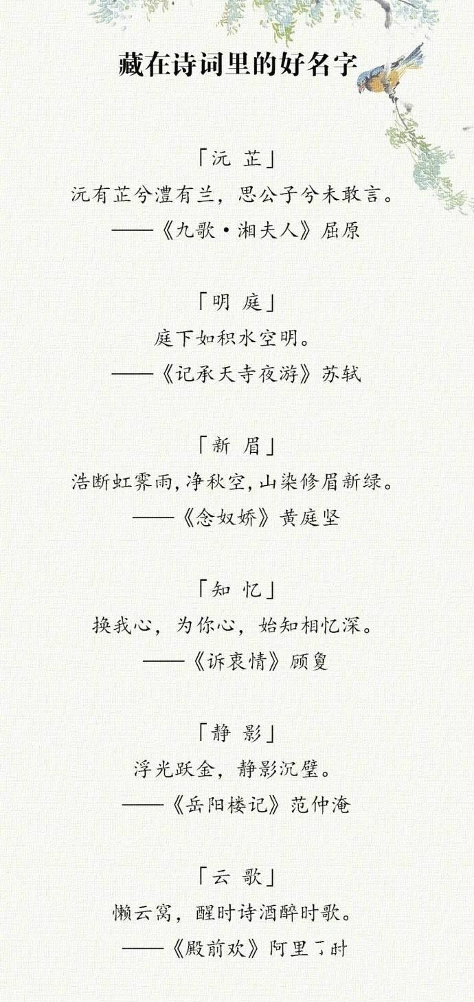 变化、学习与自信的力量,最新公司名字大全