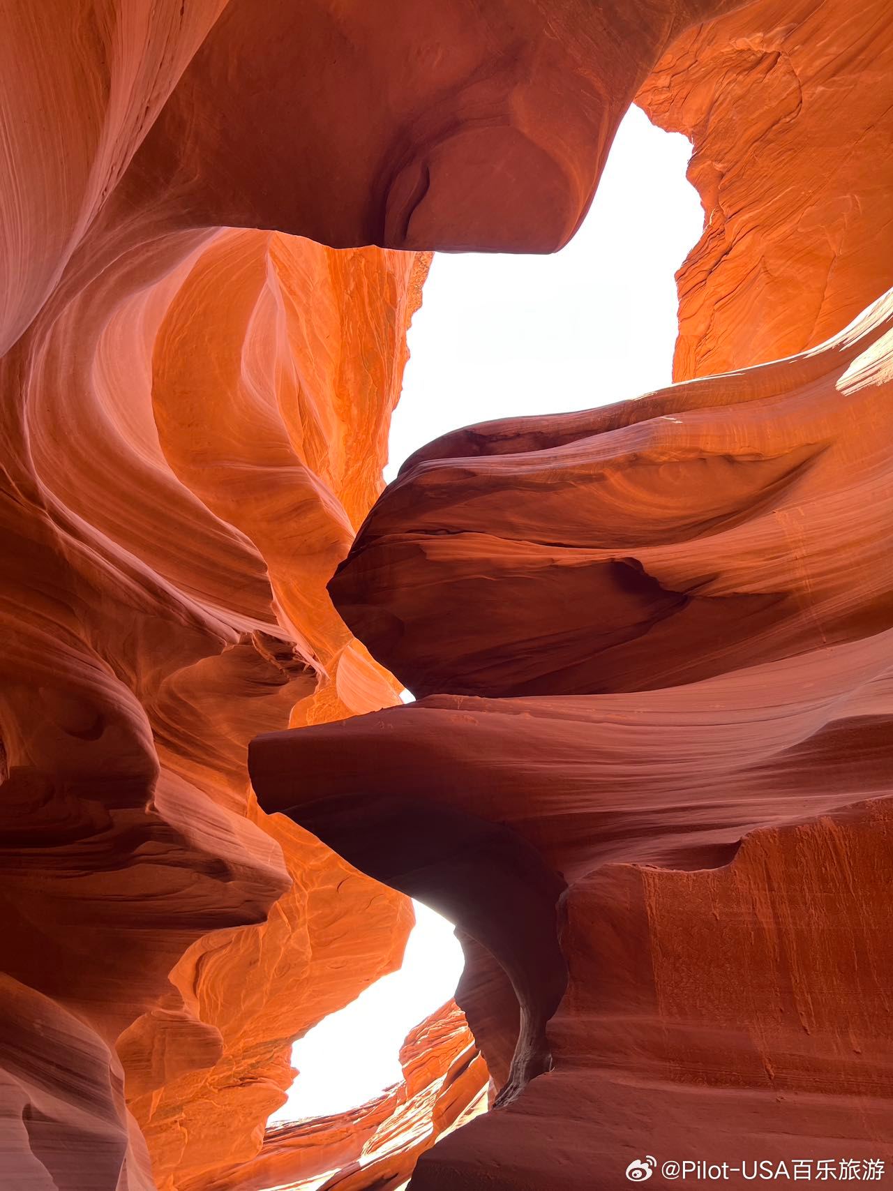 先锋最新资源,自然美景的奇妙探索之旅