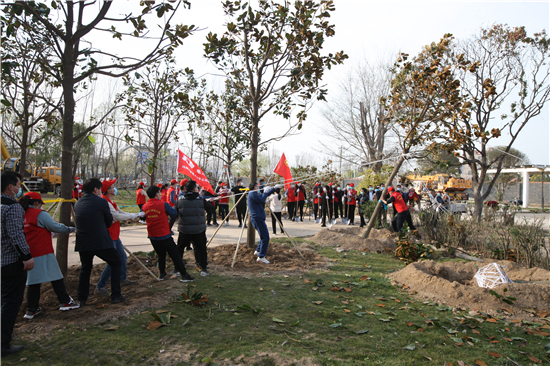 河南疫情最新动态,绿意中的防疫之旅,寻求内心宁静与平和