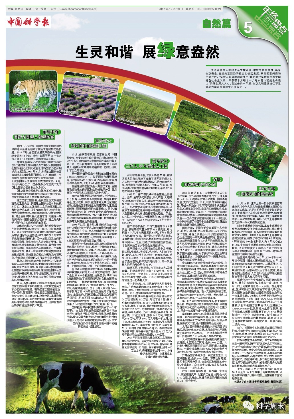 河南疫情最新动态,绿意中的防疫之旅,寻求内心宁静与平和