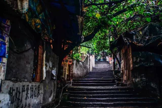 变形计最新探秘,小巷深处的独特小店故事