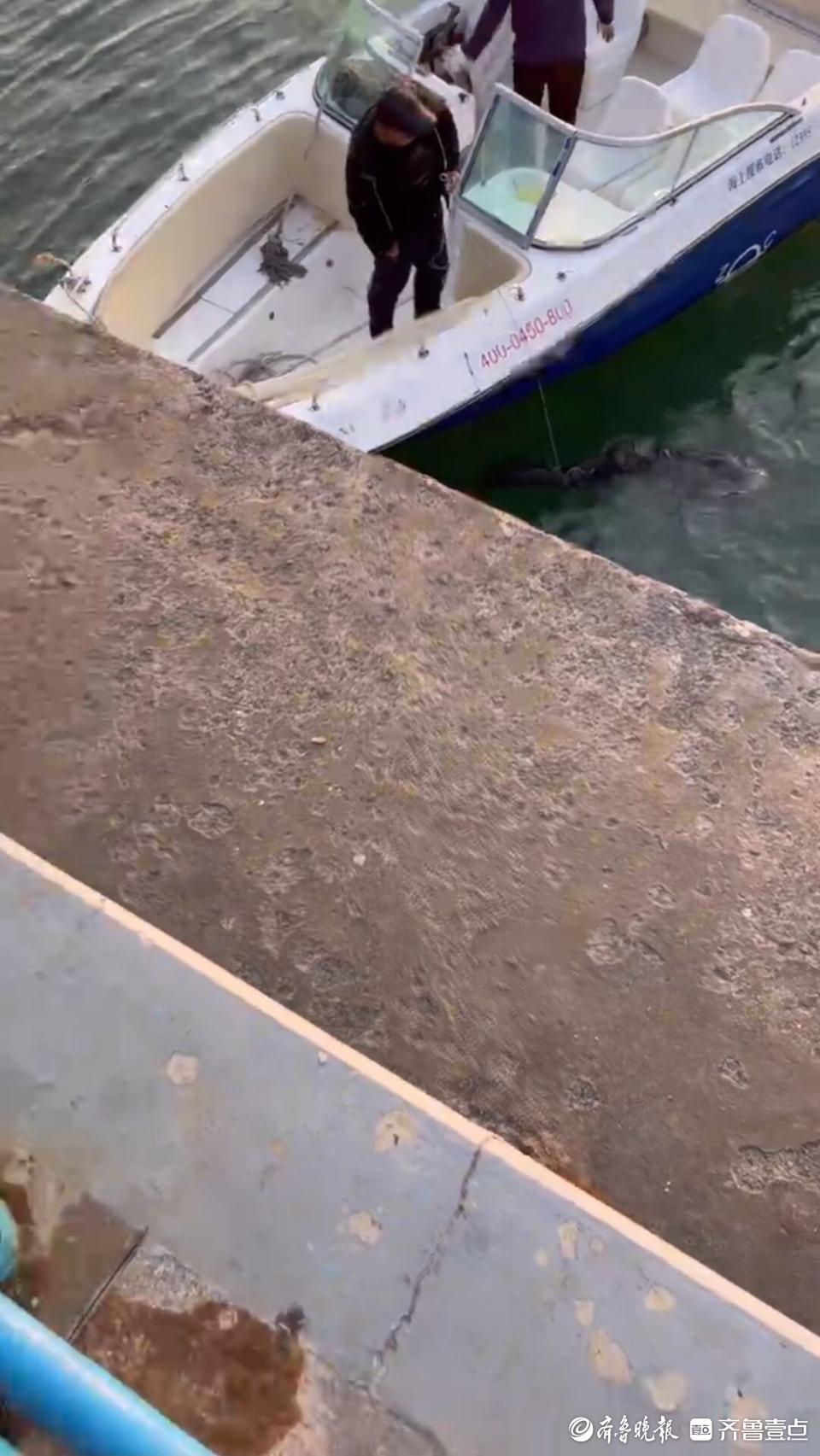 青岛最新新闻报道