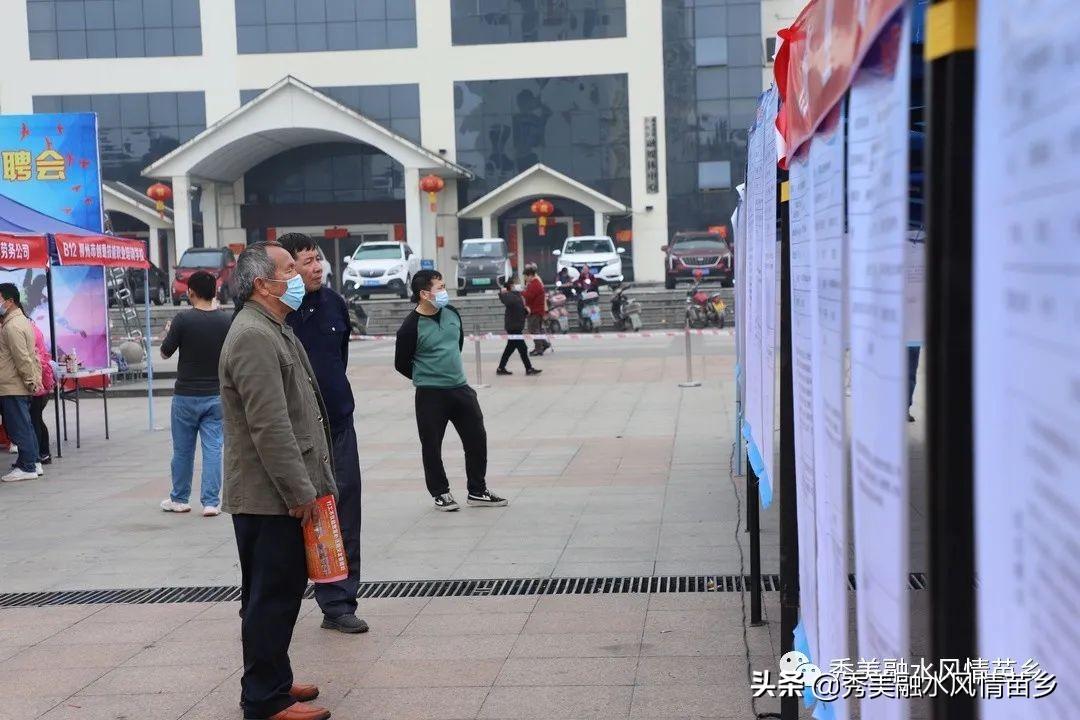 柳州最新招聘,科技驱动,重塑求职体验