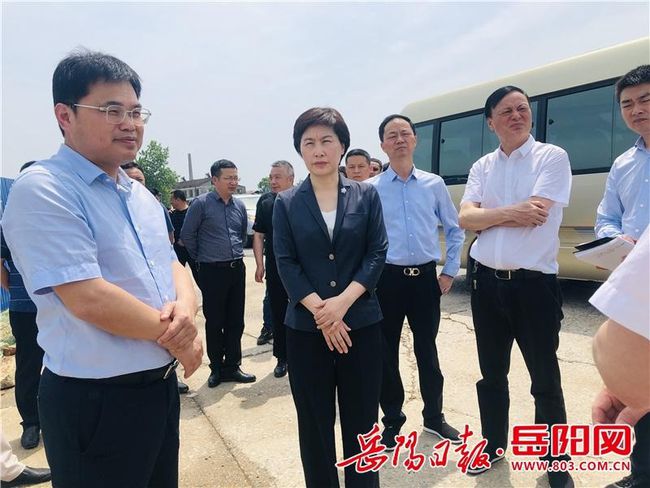第235页