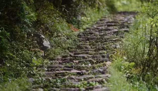 金华最新招聘信息,时代的脉搏与行业风向标同步更新