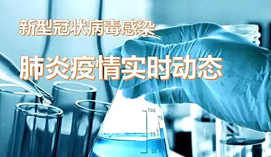 新型肺炎最新动态,变化中的学习成为自信与成就感的源泉