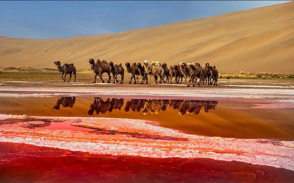新冠疫苗最新动态,启程自然美景之旅的防疫保障之路