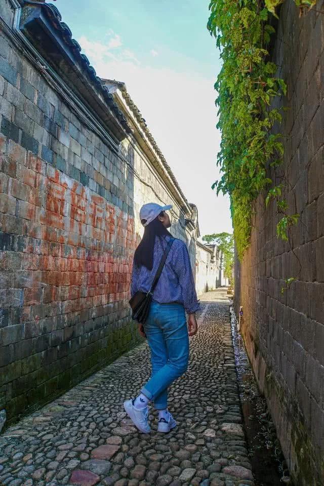 台湾最新剧集,小巷深处的隐藏瑰宝