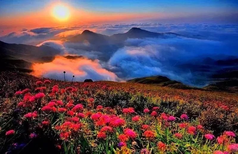 最新秋霞,自然美景的探索之旅