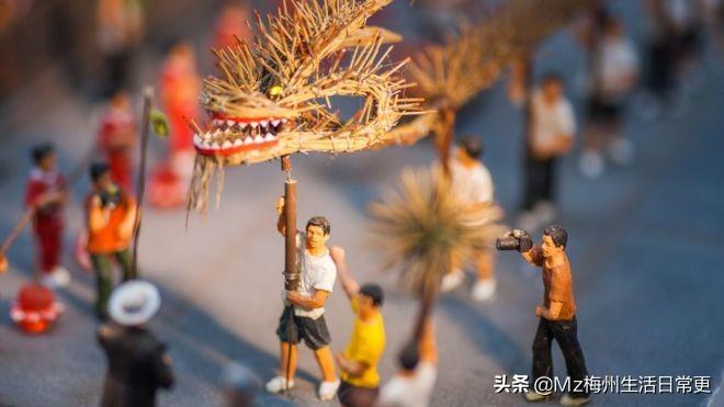 猪瘟疫最新动态，警惕疫情，守护家园安宁