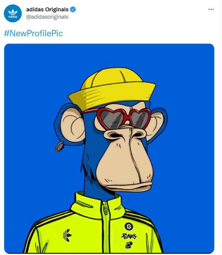 最新流行歌曲,音乐潮流与文化脉搏同步前行