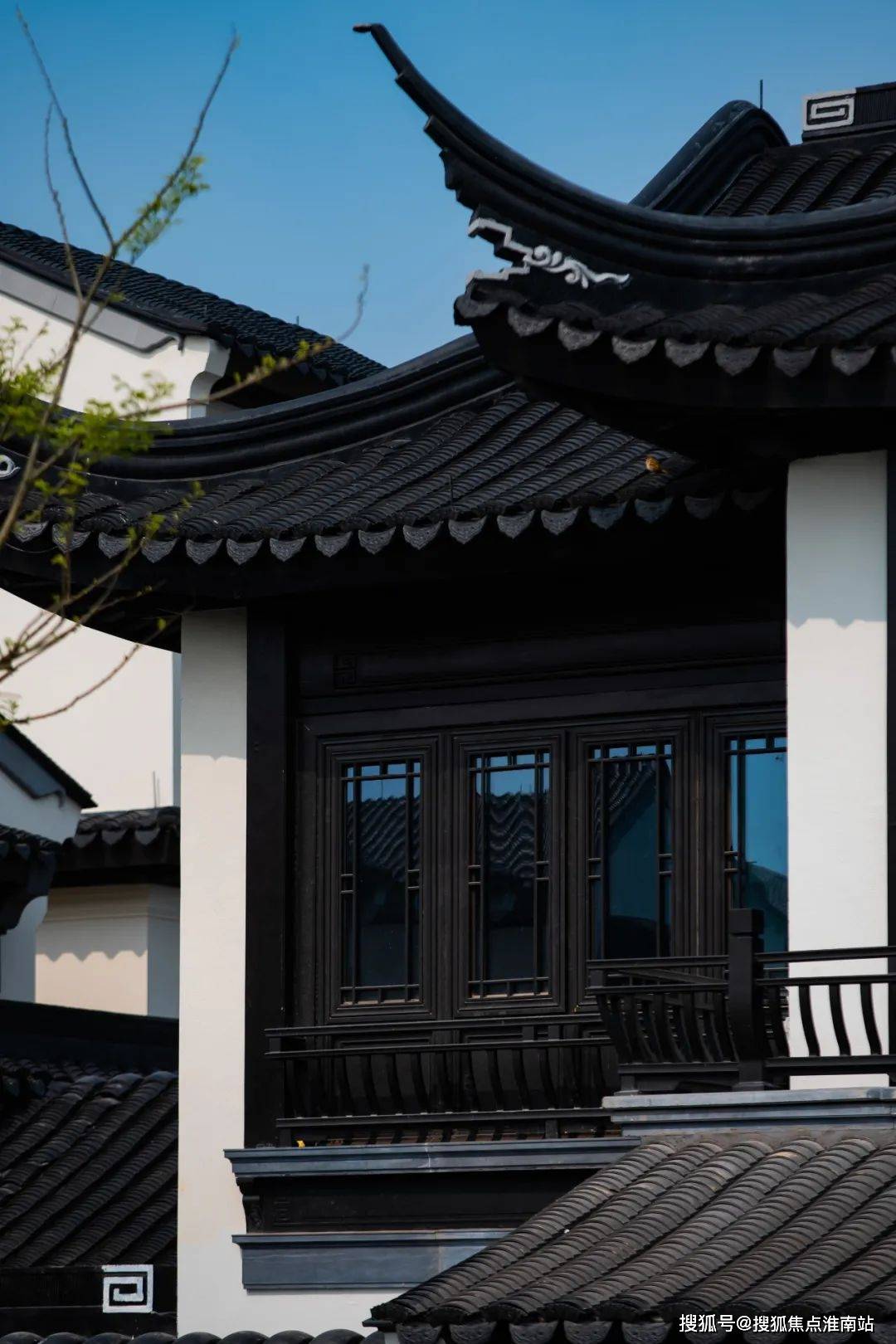 红薯价格最新行情详解及获取策略分析,洞悉红薯市场走势与价格信息获取途径