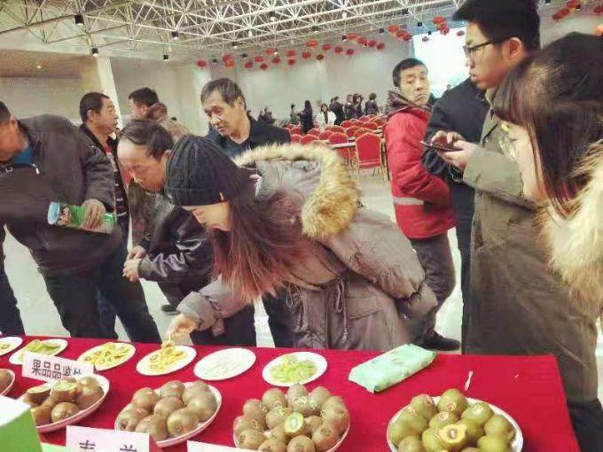 嘉兴最新房价揭秘,洞悉楼市动态,投资有道,把握未来趋势