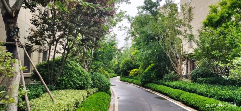 时代旋律的新篇章,最新热门歌曲出炉!