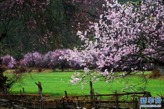 最新城市排名背后的自然美景探寻,内心的桃花源之旅
