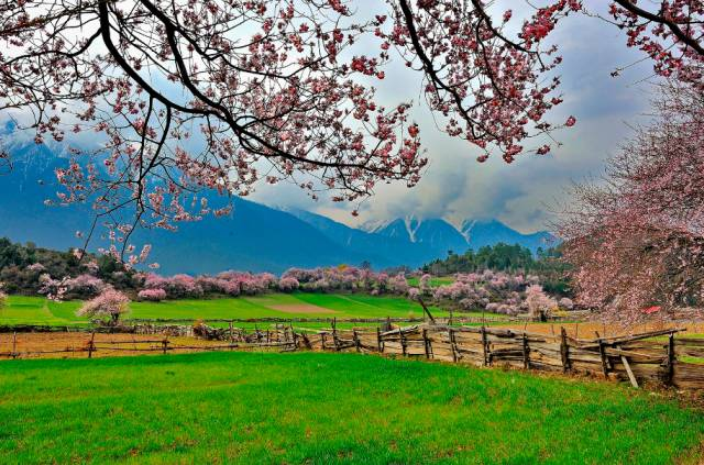 最新城市排名背后的自然美景探寻,内心的桃花源之旅