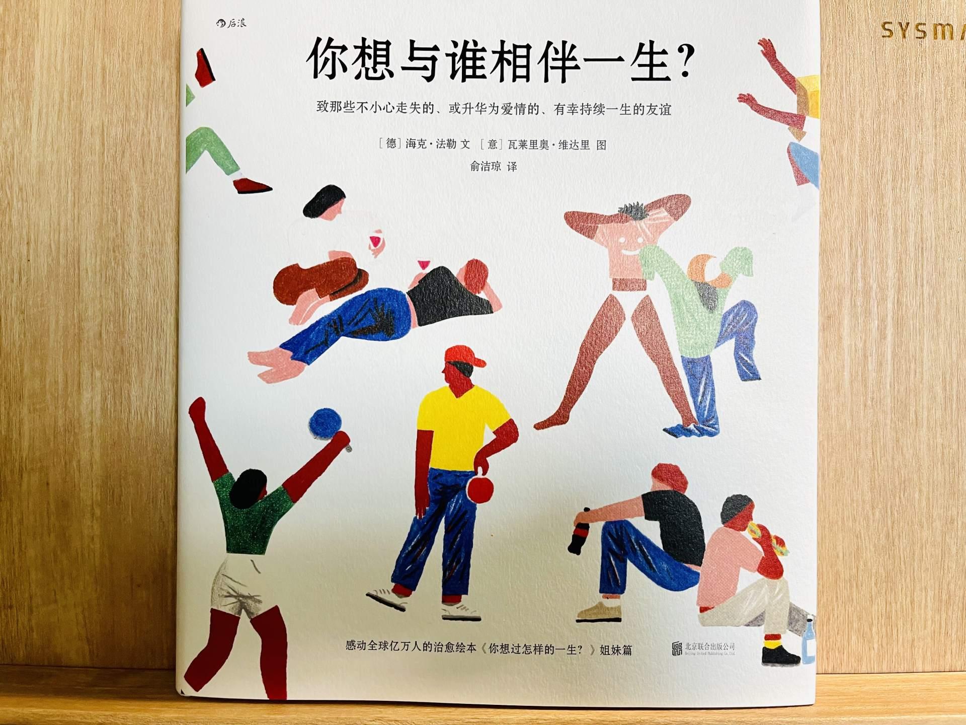 友情与陪伴的温馨日常,最新元素的探索与体验