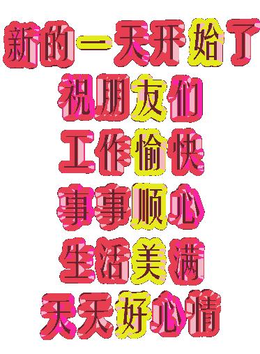 友情与陪伴的温馨日常,最新元素的探索与体验